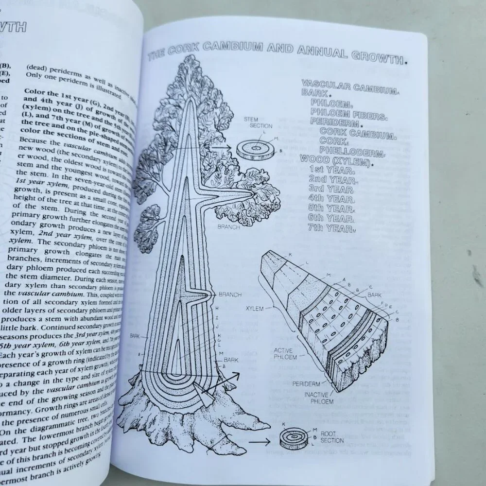 NEW Botany Coloring Book Adult High School Paperback High School Science Activit